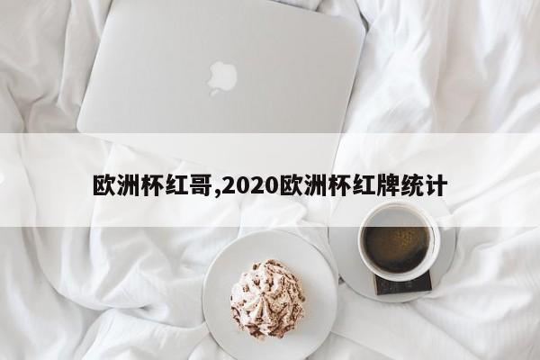 欧洲杯红哥,2020欧洲杯红牌统计