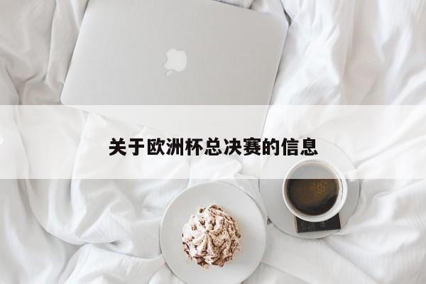 关于欧洲杯总决赛的信息