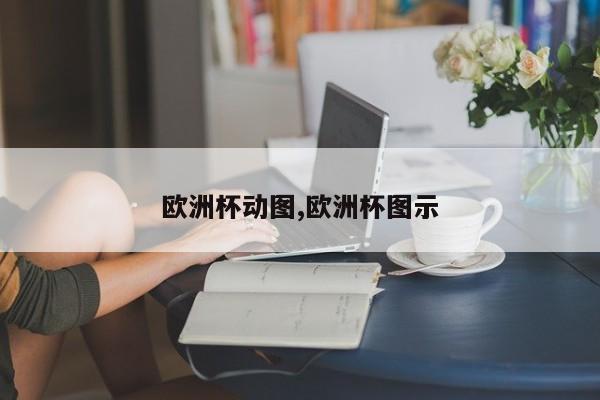 欧洲杯动图,欧洲杯图示