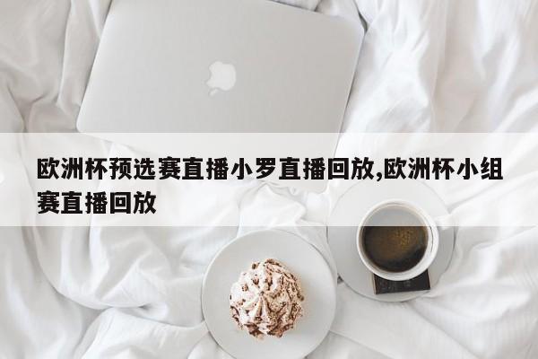 欧洲杯预选赛直播小罗直播回放,欧洲杯小组赛直播回放