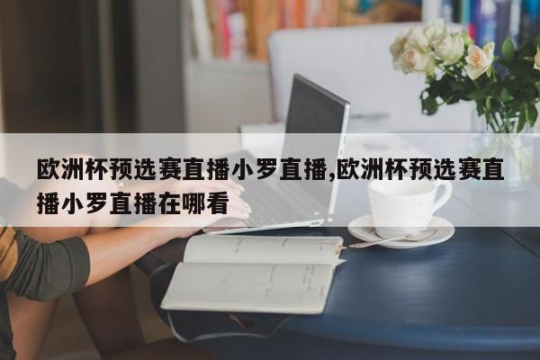 欧洲杯预选赛直播小罗直播,欧洲杯预选赛直播小罗直播在哪看