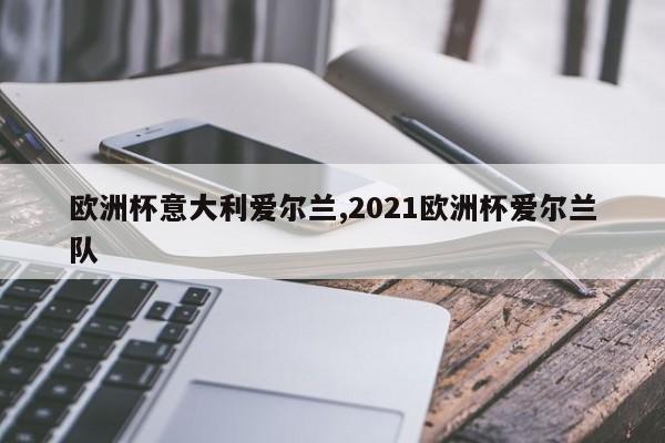 欧洲杯意大利爱尔兰,2021欧洲杯爱尔兰队