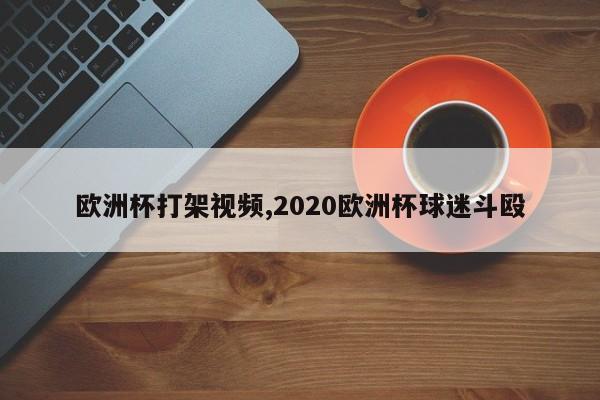 欧洲杯打架视频,2020欧洲杯球迷斗殴