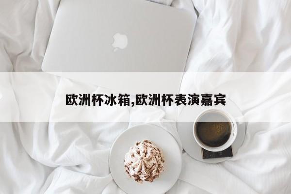 欧洲杯冰箱,欧洲杯表演嘉宾