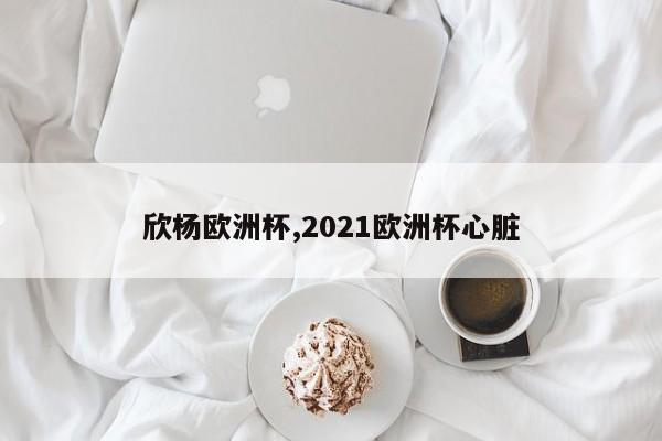 欣杨欧洲杯,2021欧洲杯心脏